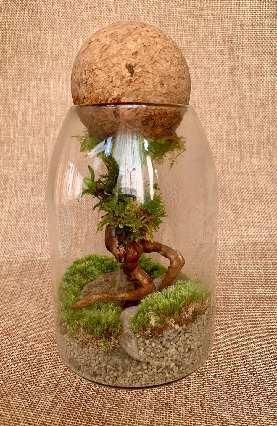 【微景观】好久没来了,最近做了一些新作品