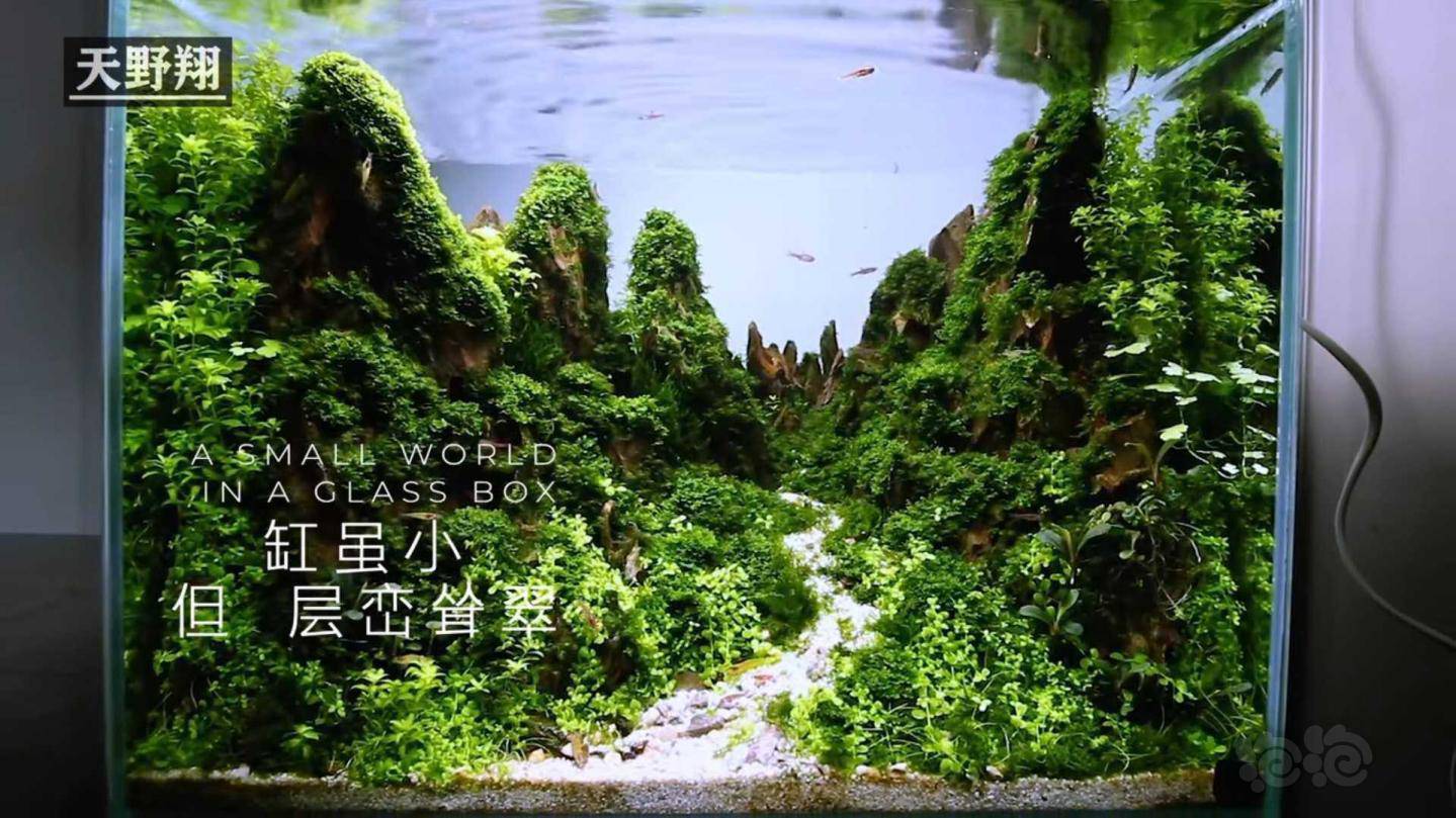 其他出松皮石精品绝对精品