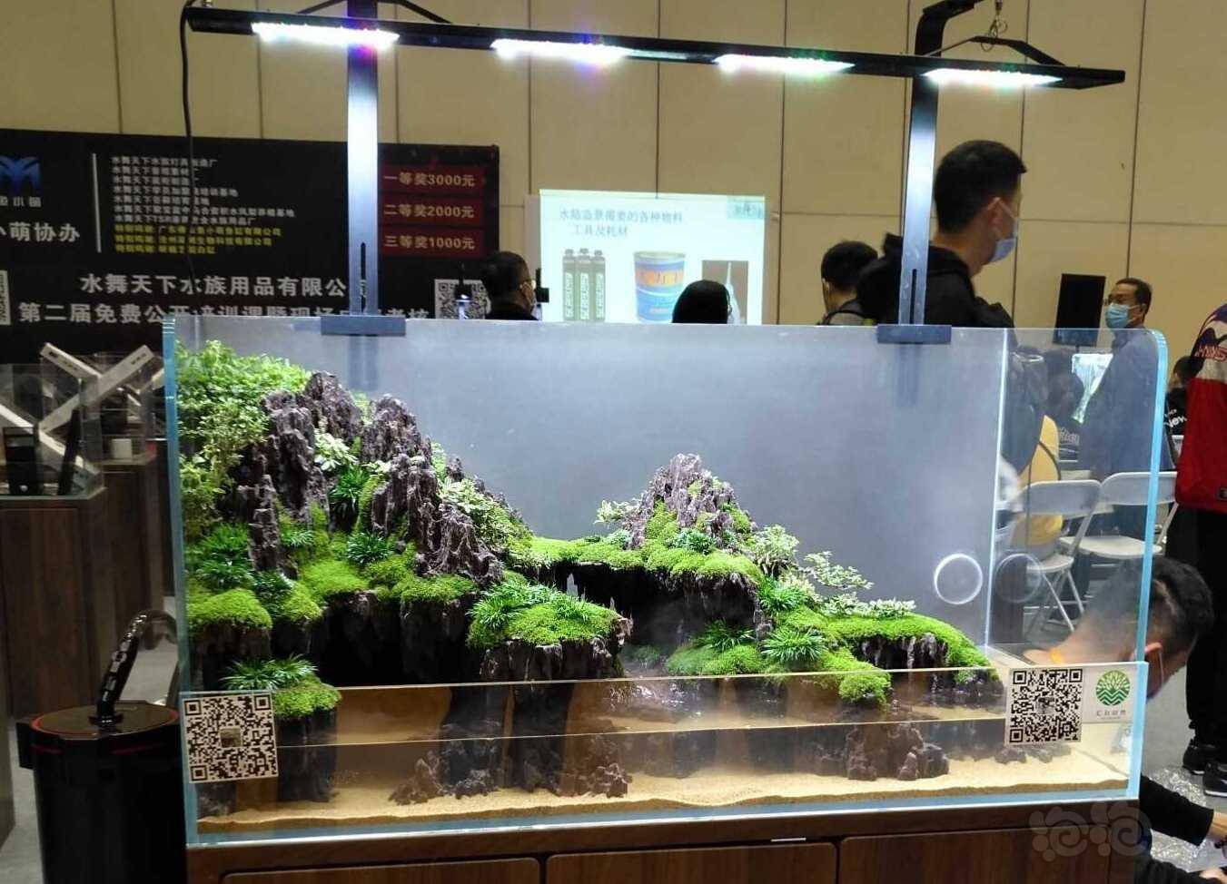 郑州会层水陆盆景一瞥