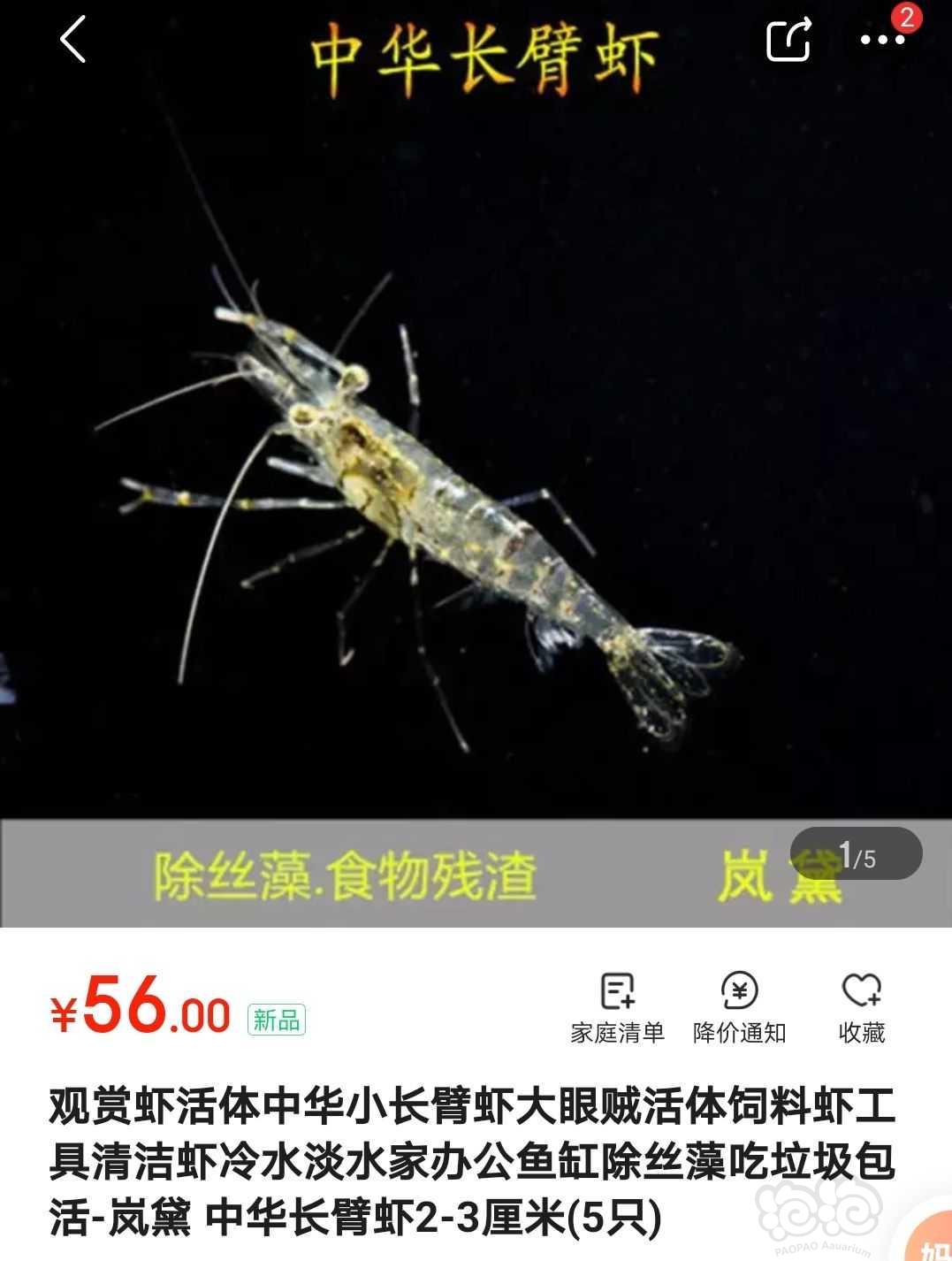 5鲫鱼苗麦穗鱼什么的,按饲料鱼价格 20中华小长臂更贵,2-3公分,五