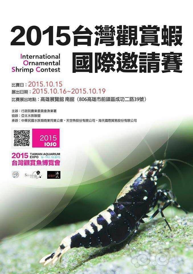 2015台湾观赏虾国际邀请赛-图1