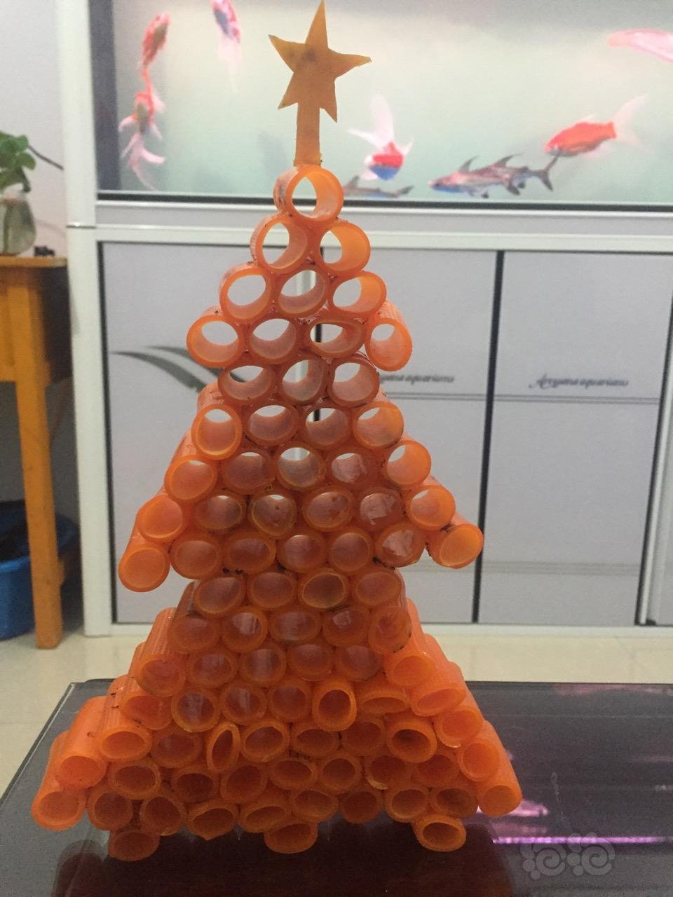圣诞树牌虾窝