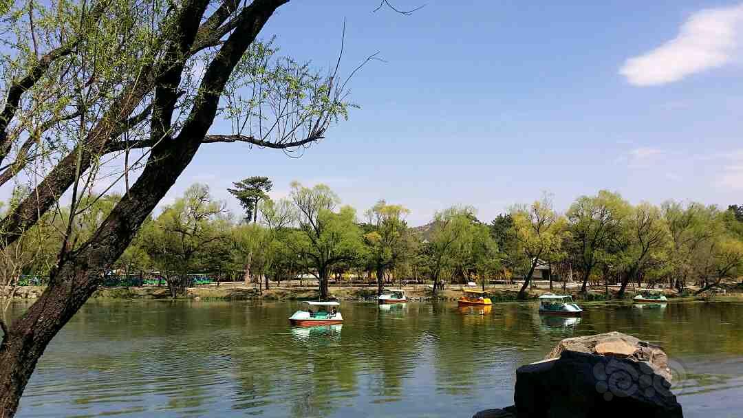 大家推荐几个京城周边游山玩水的地方吧！-图2