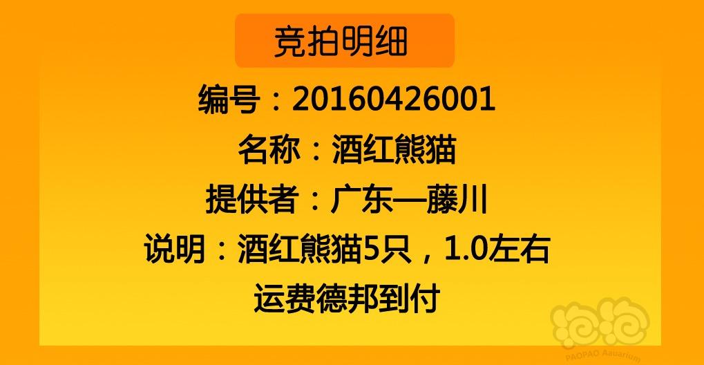 2016年4月26日-酒红熊猫5只(4月26日20点起最高价维持5分钟)-图3