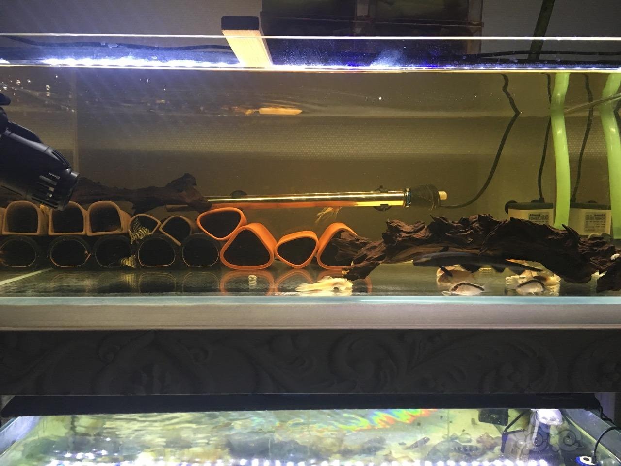 异型异形杂缸记录一下