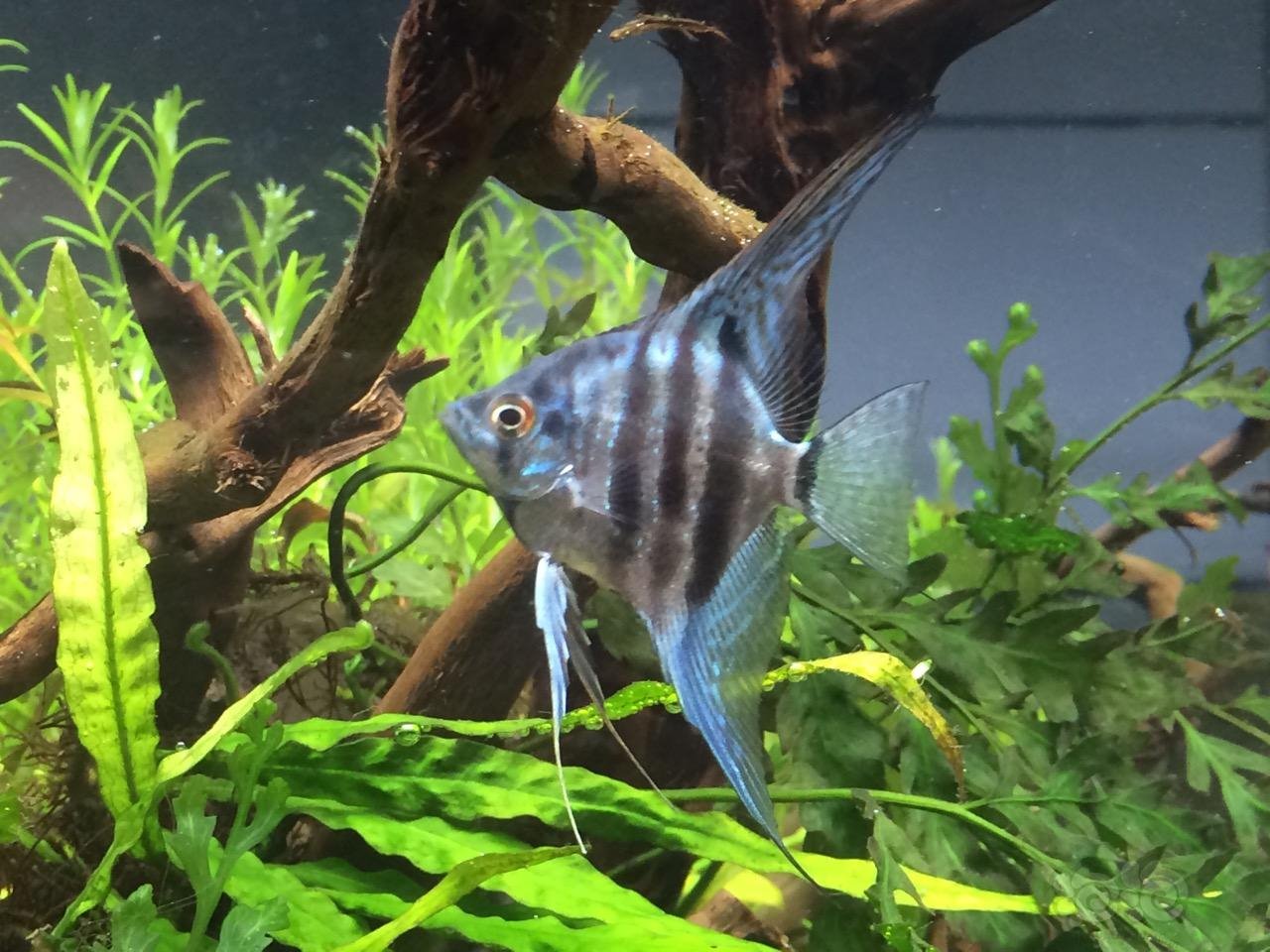 有没有喜欢这类型的?