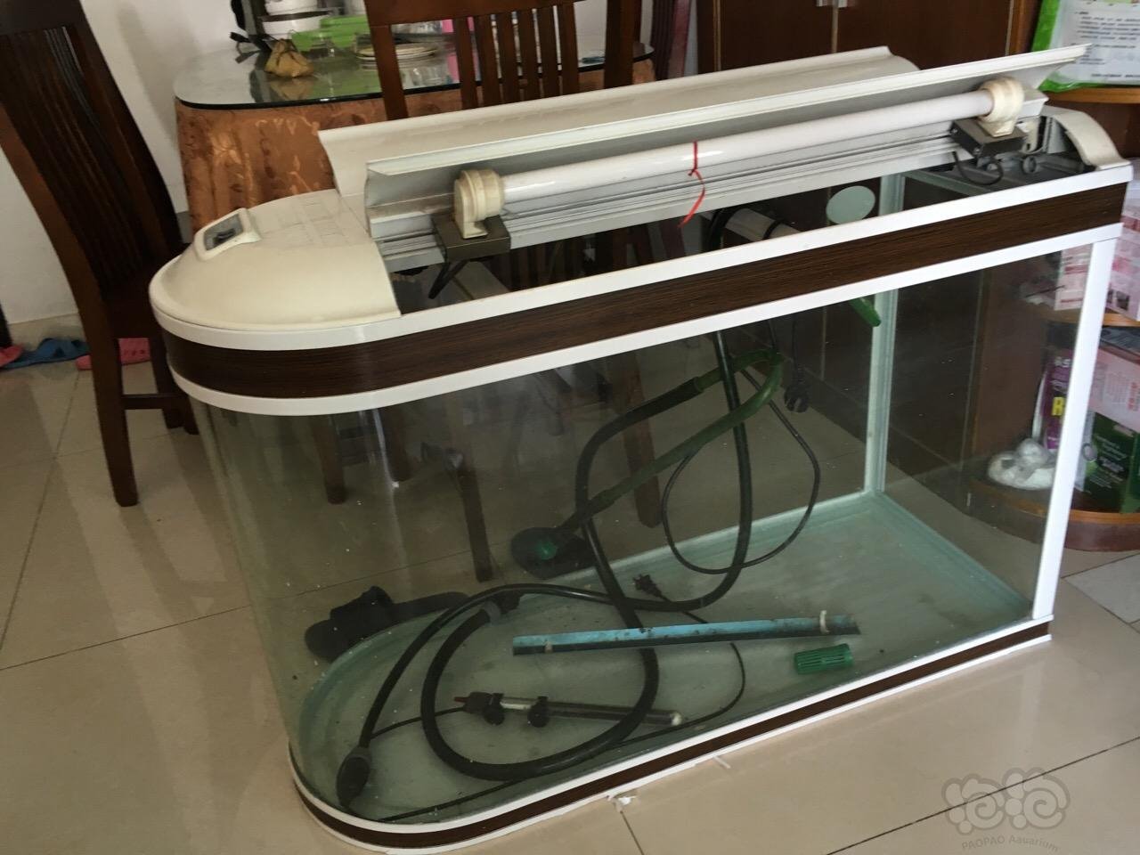 朋友那里搬来佳宝鱼缸