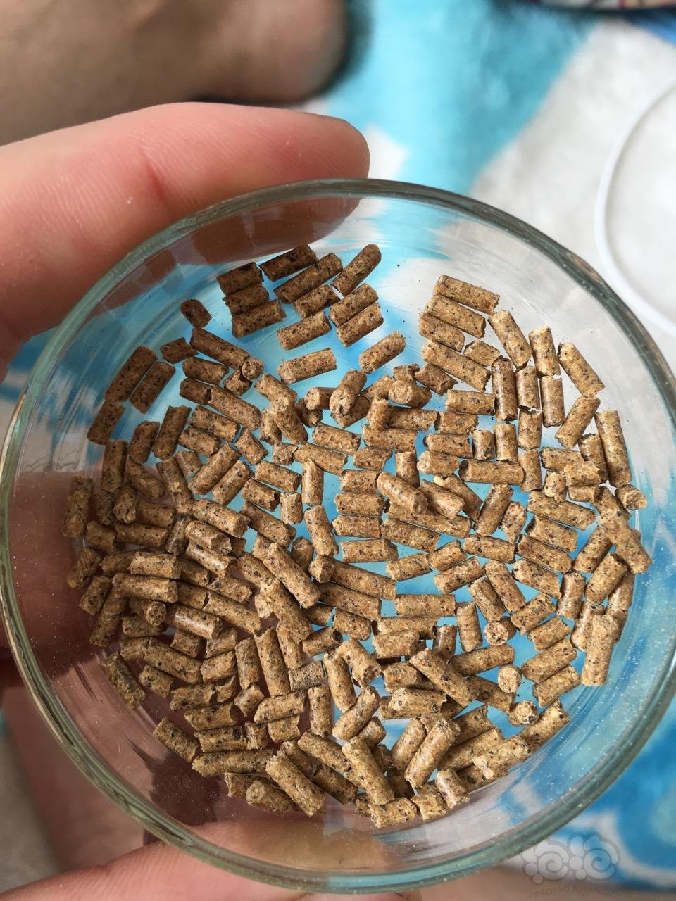 观赏虾水晶虾米虾虾粮500g批发价28包邮,台湾亮皮饲料