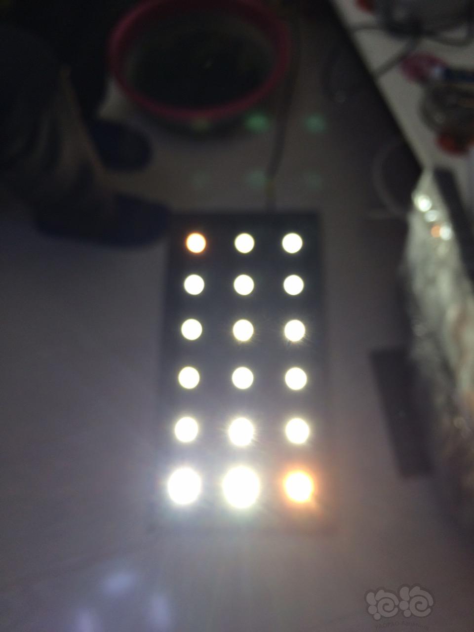 LED水草灯处理了-图1