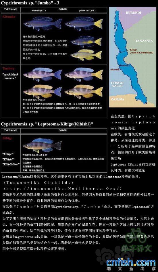 【三湖慈鲷】分享一个常见剑沙的分类及分布图-图3
