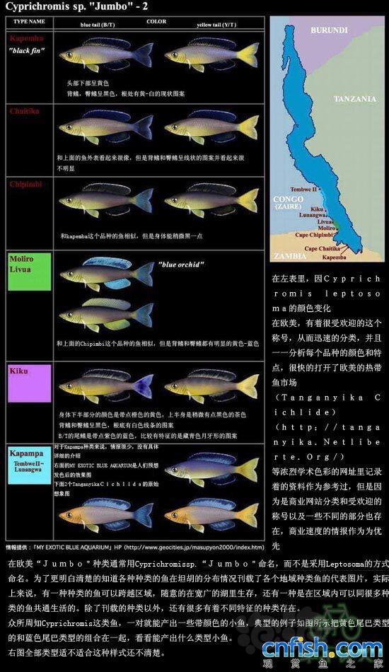 【三湖慈鲷】分享一个常见剑沙的分类及分布图-图2