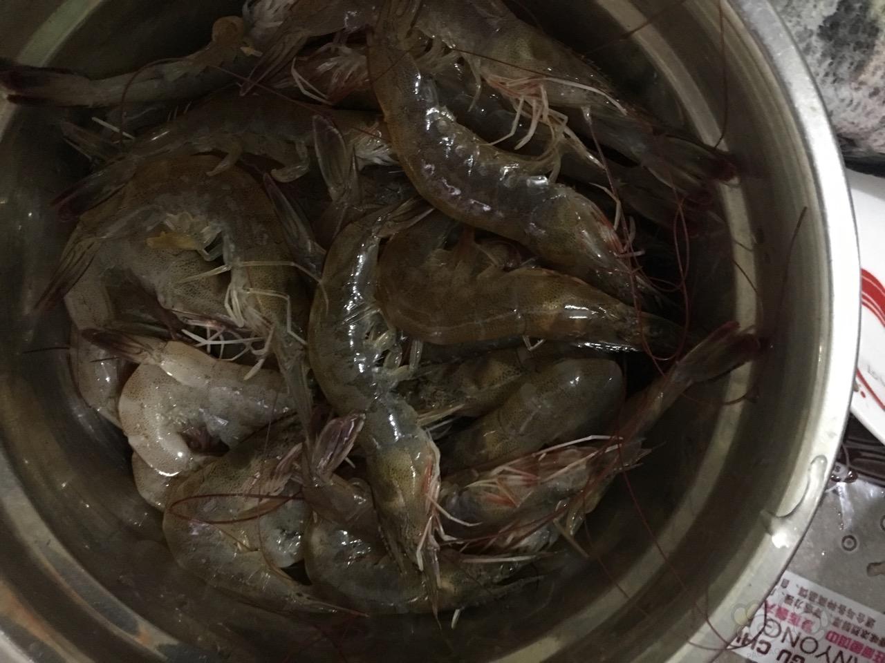 【虾】2016-11-14#RMB拍卖diy虾粮一份-图5