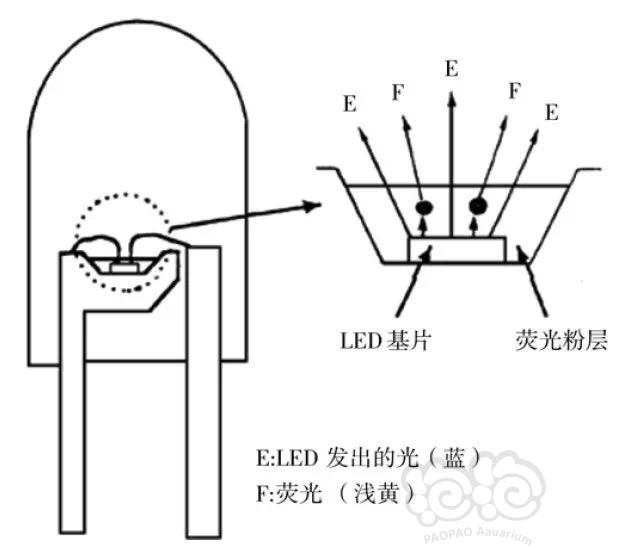 【技术论坛】【转载】水草造景灯具之LED-图4