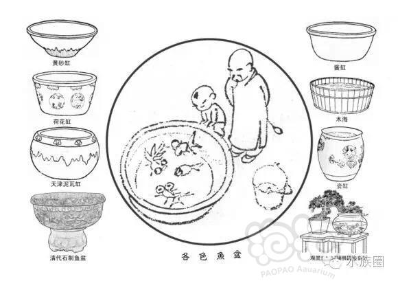 【金鱼】【技术论坛】古法养金鱼，中国国粹-图2