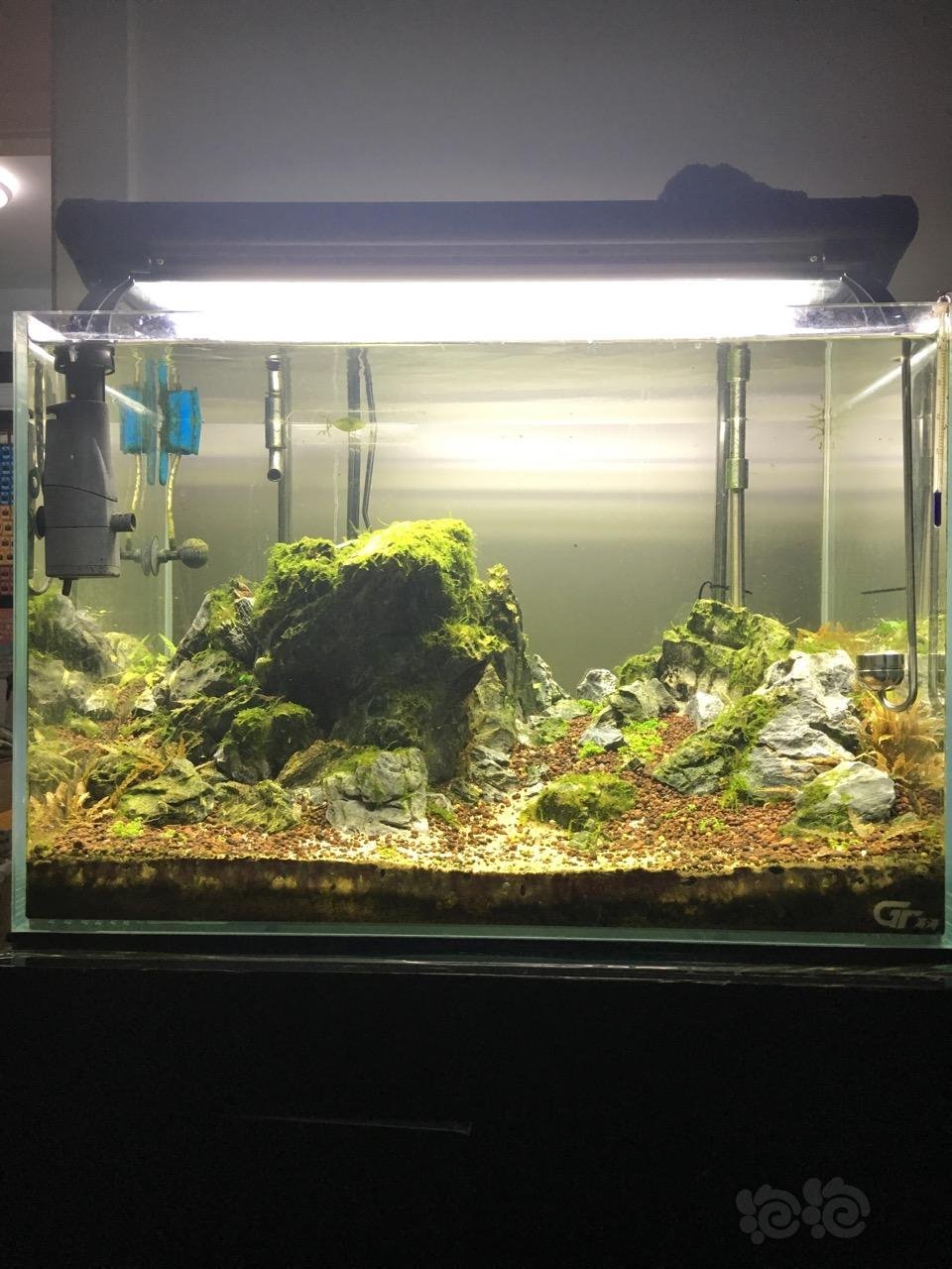 不断完善的60山景缸