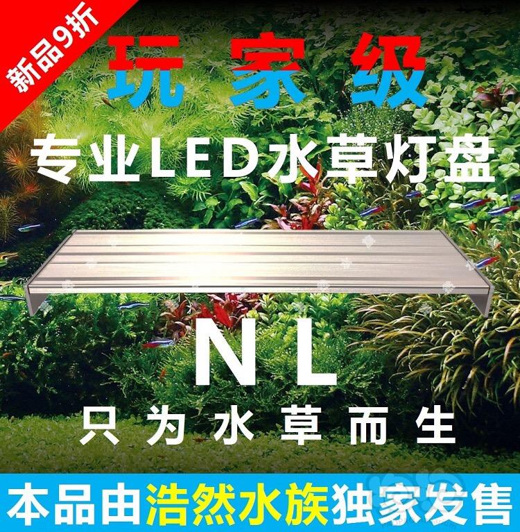 【出售】庆祝NL水草灯盘正式发售，9折促销！-图1
