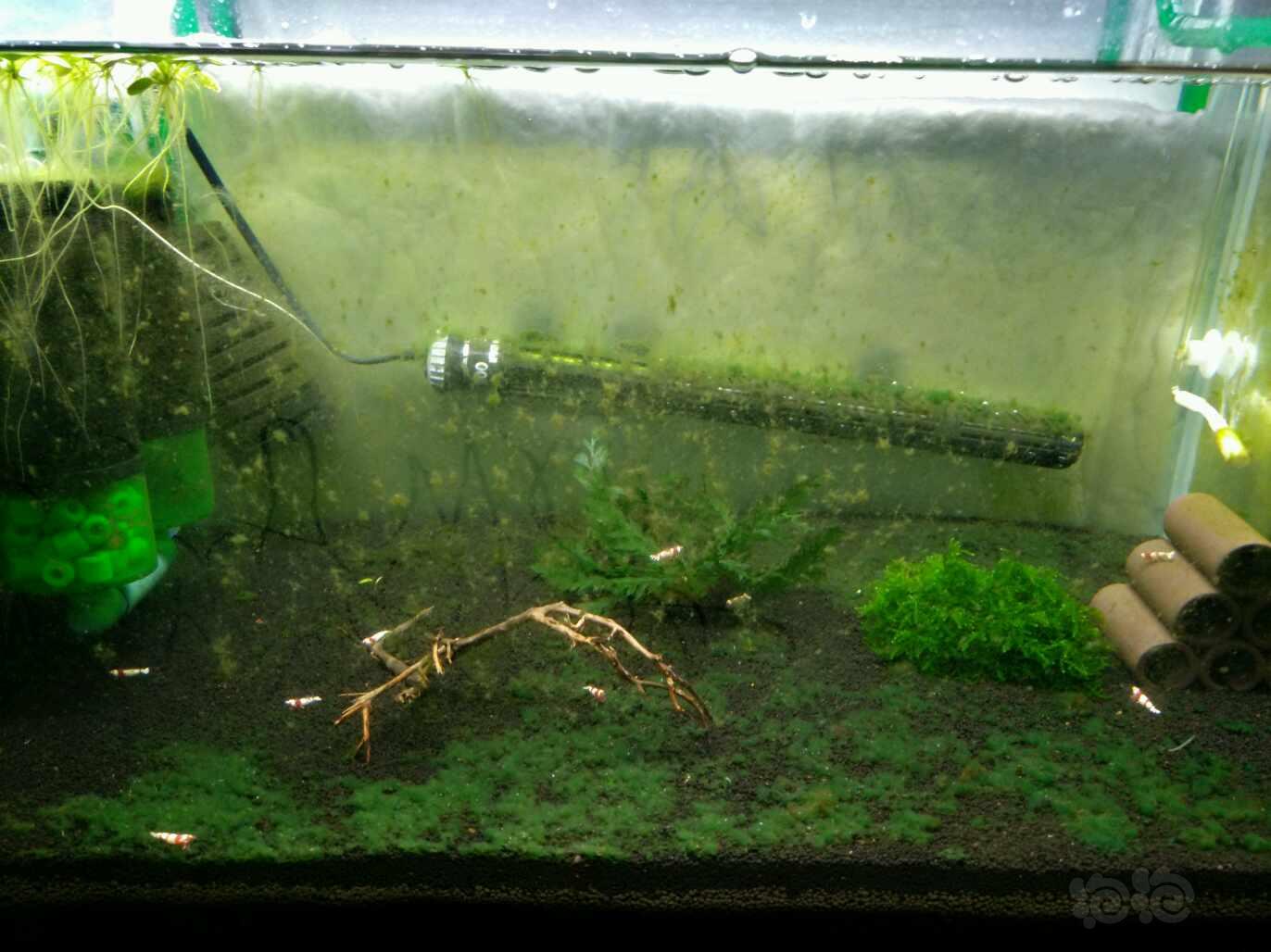 进入繁殖爆缸节奏新手上路