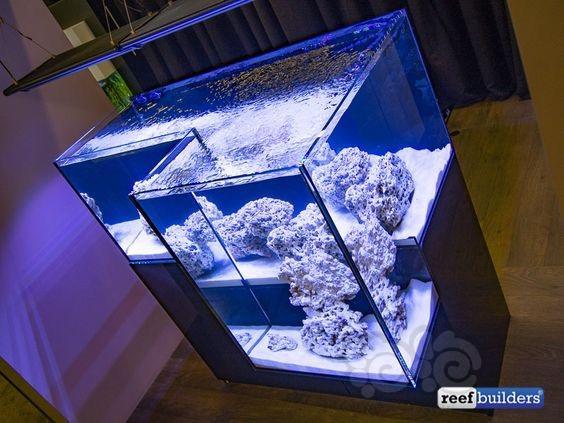 再来一组珍藏的异形缸图