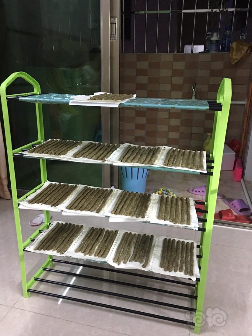 【虾】2017-3-12#RMB拍卖diy水晶虾肉粮加菠菜30g-1-图5