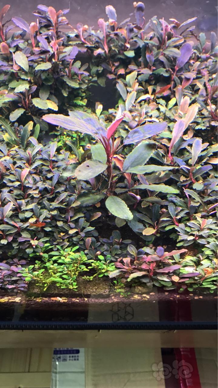 江浙沪收黑姘头红姘头