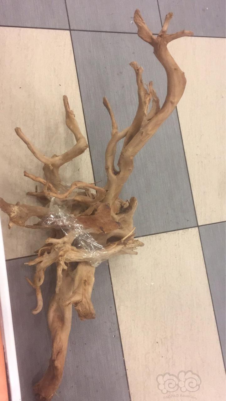 杜鹃根白毛会持续多久