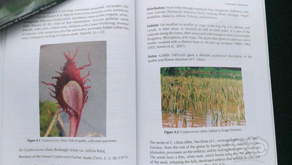 介绍椒草的专业书籍终于到手，开始学习英文-图3
