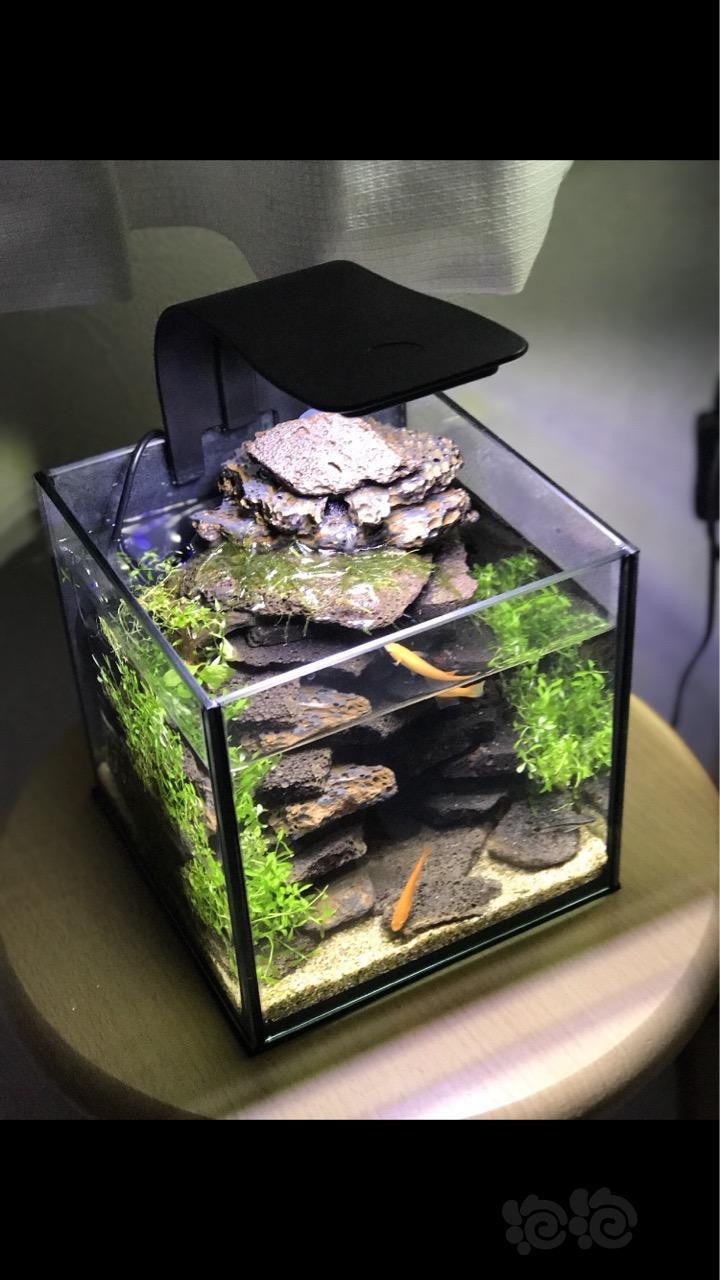 30方缸用什么过滤什么灯比较好想做下面这个缸还有这种片状的石头是