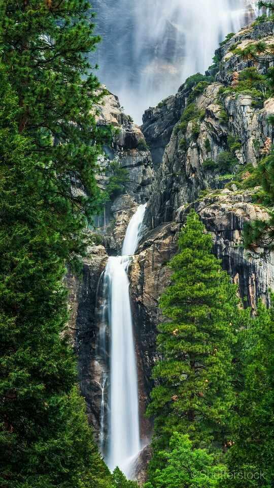 草缸造景流沙瀑布的运用
