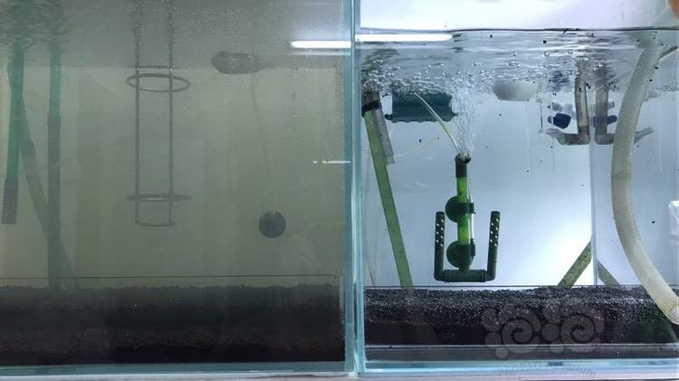 可以节奏控制的水草泥，langa玩家版水晶虾缸测试-图1