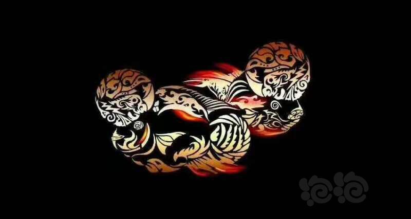 求下图,高清图链接!