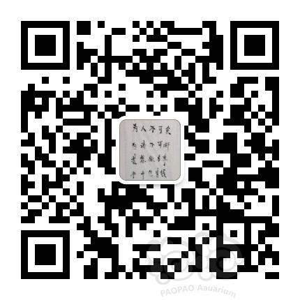 【出售】出售 09霸王 姘头小虾0.8-1.2-图1