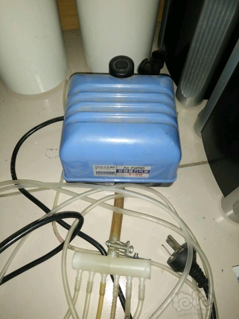 【出售】海利氧气泵v20.反渗透纯水机纯水机，酒红缸-图2