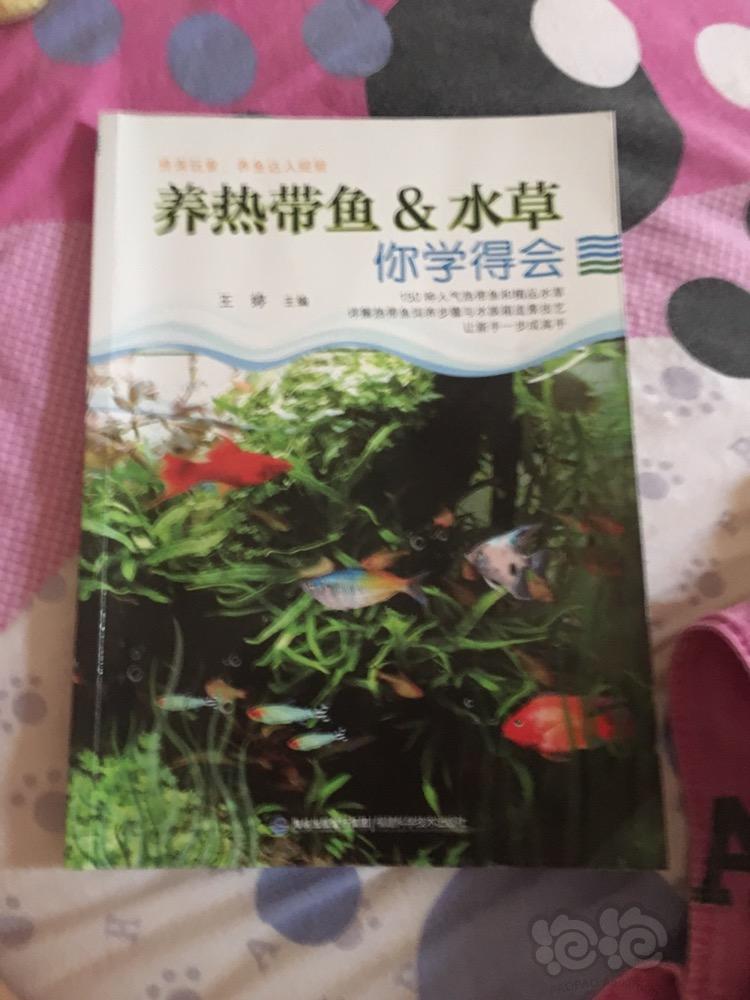 求推荐关于水草热带鱼书籍-图1