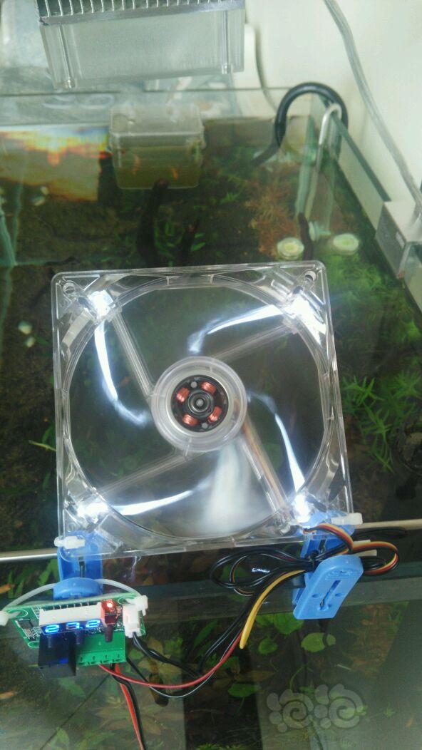 低成本DIY鱼缸温控风扇试运行-图2