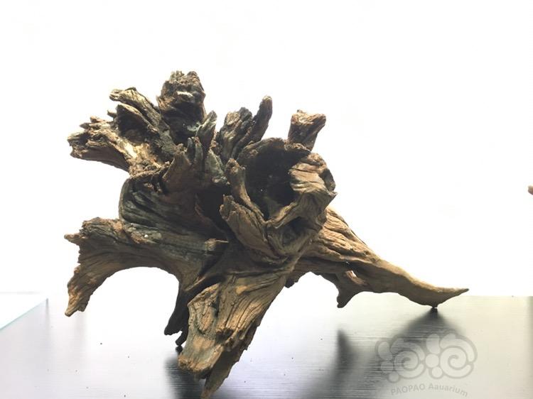 【用品】2017-08-17#RMB拍卖沉木一块-2-图5