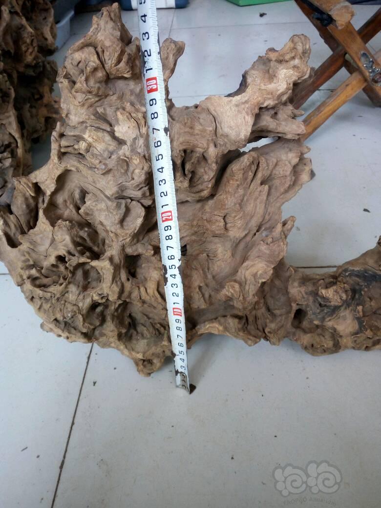 【出售】出售批发沉木杜鹃根，青龙石，松皮石-图5
