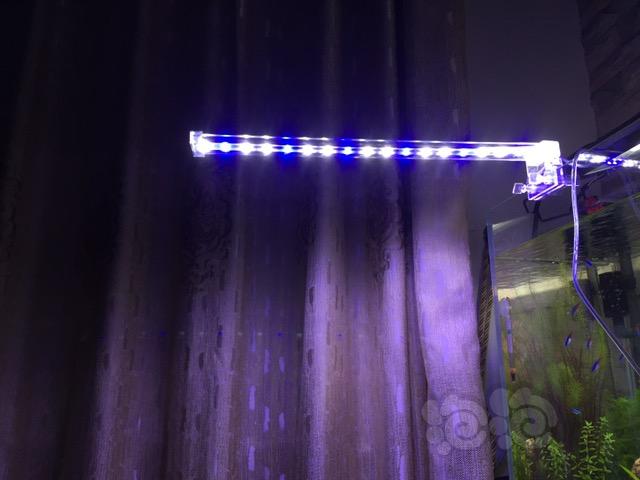 【出售】低价出售闲置LED灯42cm+100W加热棒-图1