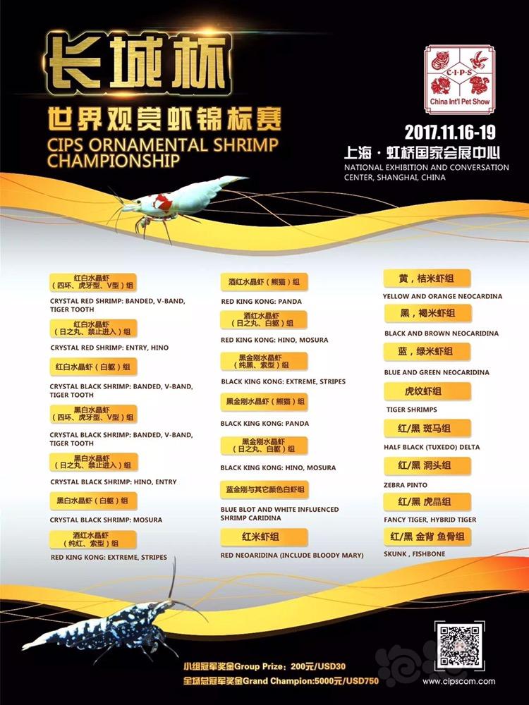 11月份上海比赛有去的莫  上海见-图2