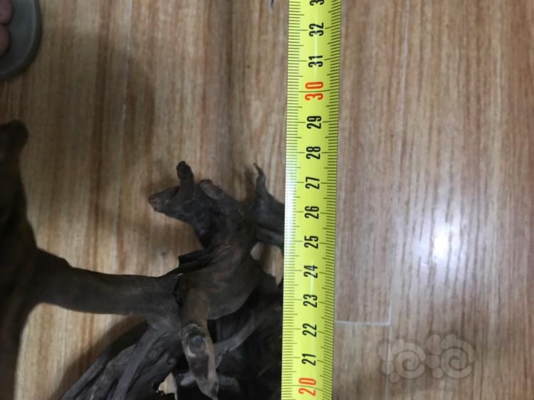 【用品】2017-09-15#RMB拍卖自用沉木1份40-50cm缸造景-图5