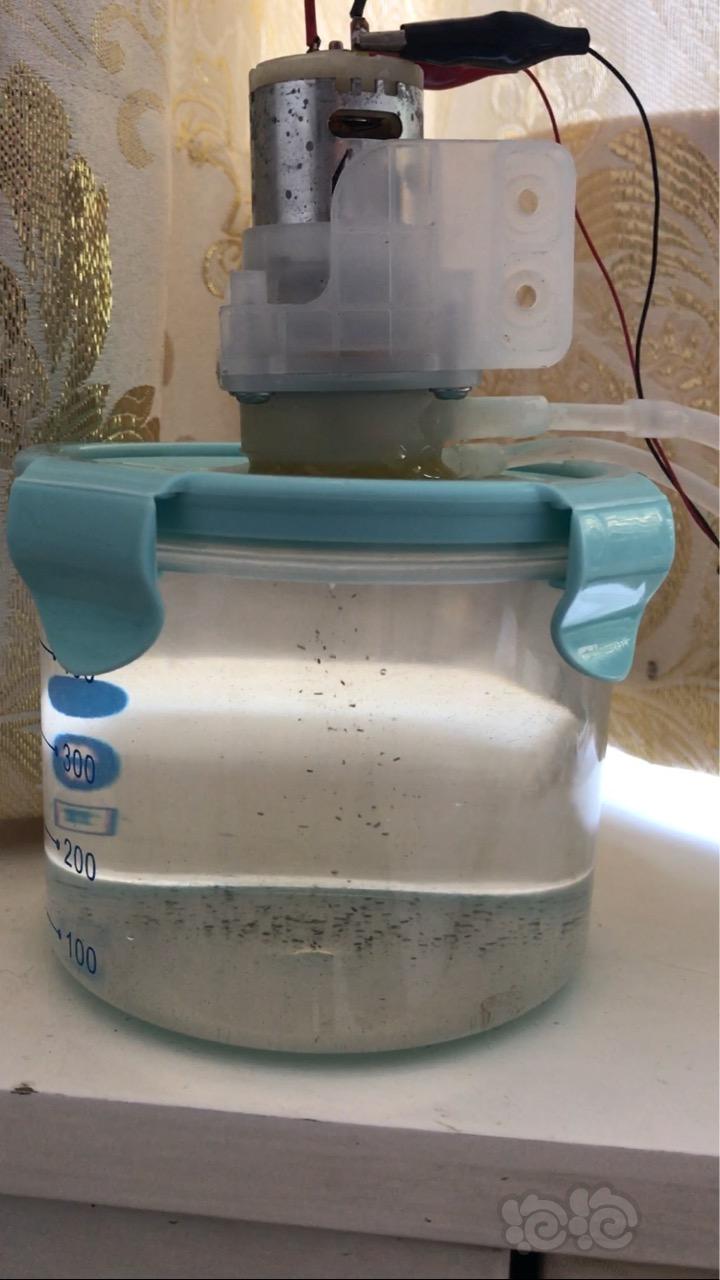 DIY 小鱼缸用微型沉降式增氧过滤桶-图1