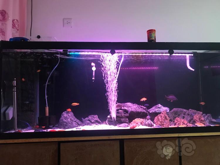 底滤缸吸便能力弱怎么样处理才可以把鱼便吸干了