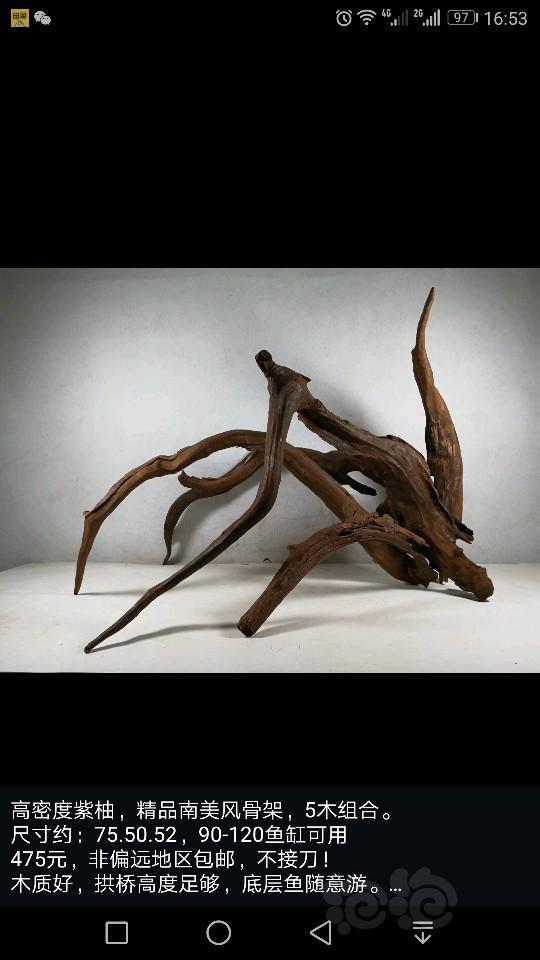 沉木出60120缸大号南美骨架树形组合木质相当好入水秒沉