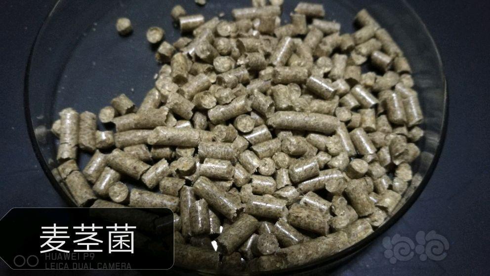 【用品】2017-11-23#RMB拍卖细化纳豆菌40g2包，台湾雪花虾粮50g，麦茎菌50g各1包-图2