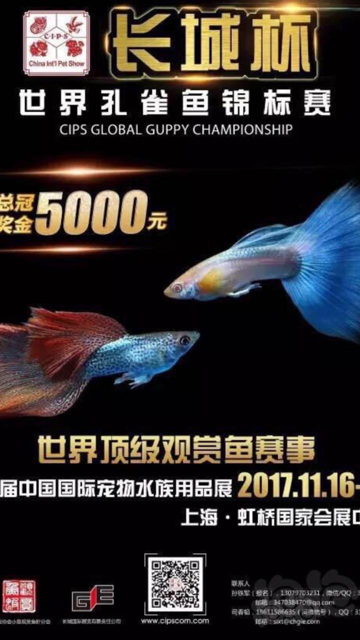 11月上海水族展-图1