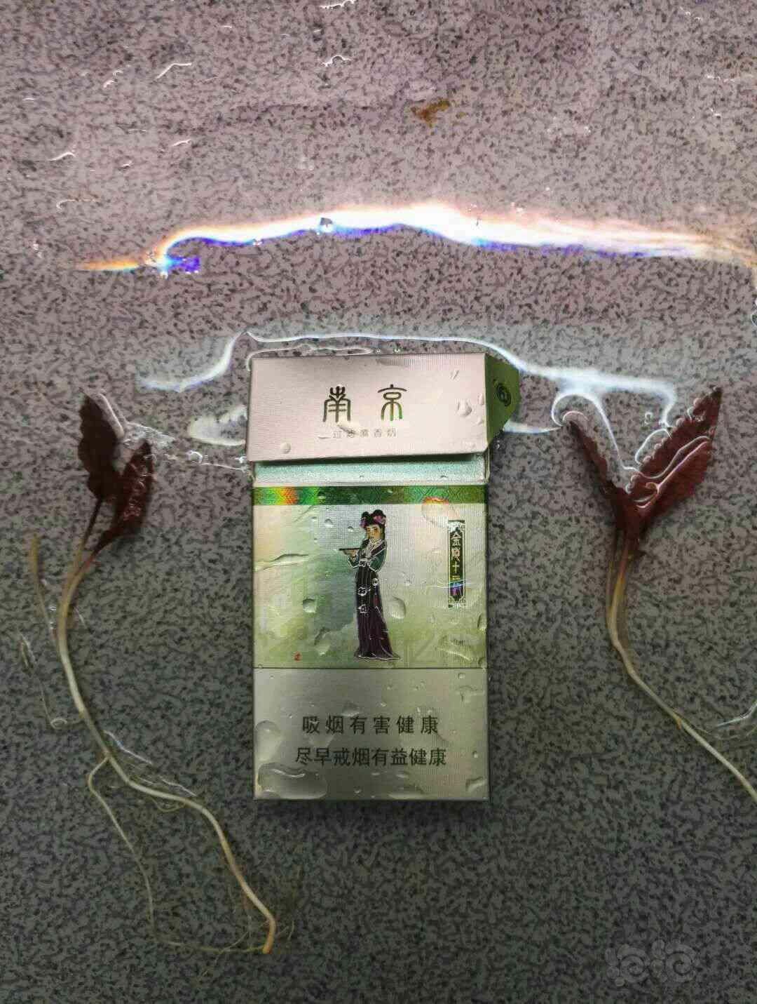 【用品】2017-11-8#RMB拍卖火烈鸟种、中、小8颗一份-图2