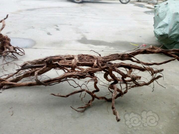 【出售】出售杜鹃根，沉木，泰国枝等-图3