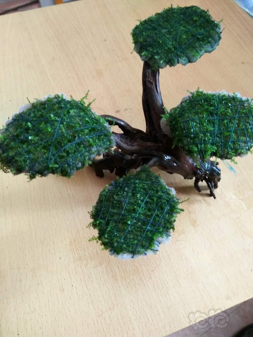 做了一颗迷你莫斯树