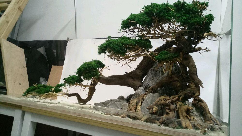 最新作品中国风之一颗树-图4