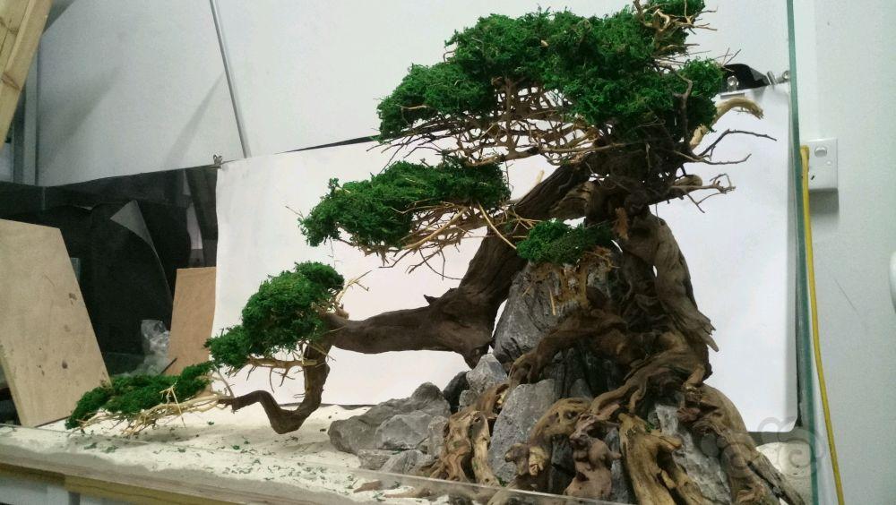 最新作品中国风之一颗树-图2