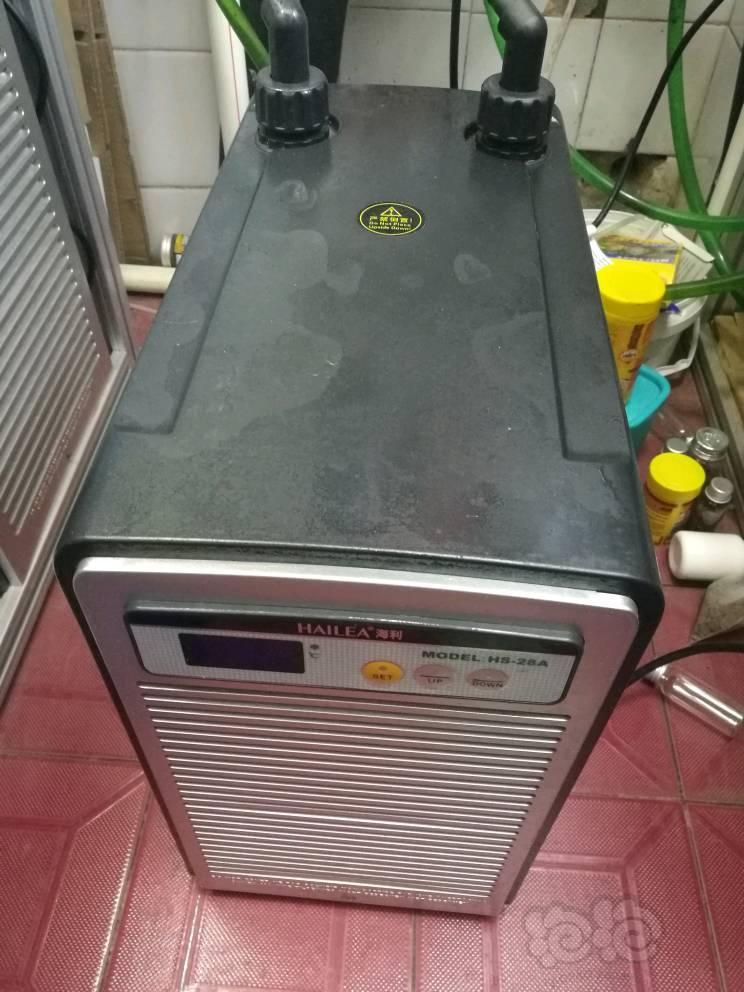 【出售】本地慢出海利28a